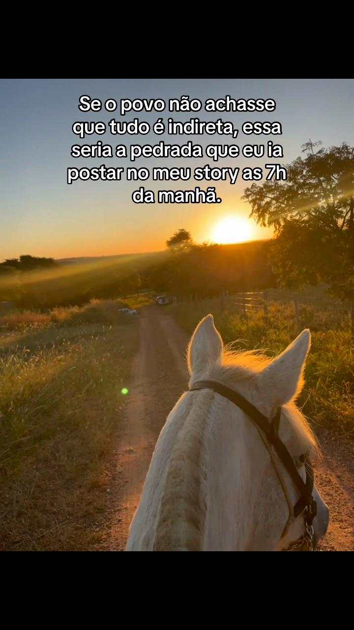 @Ronay Alves