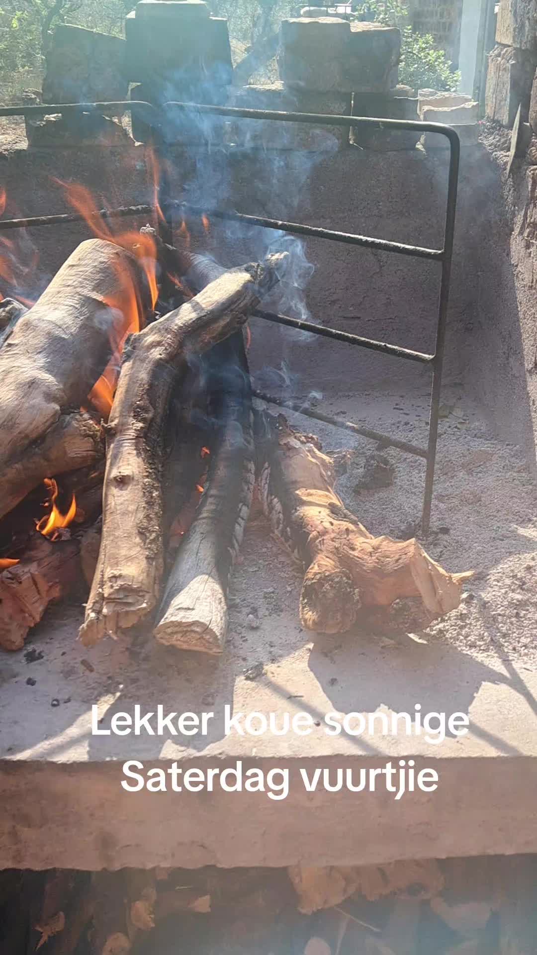 @lappies123456789