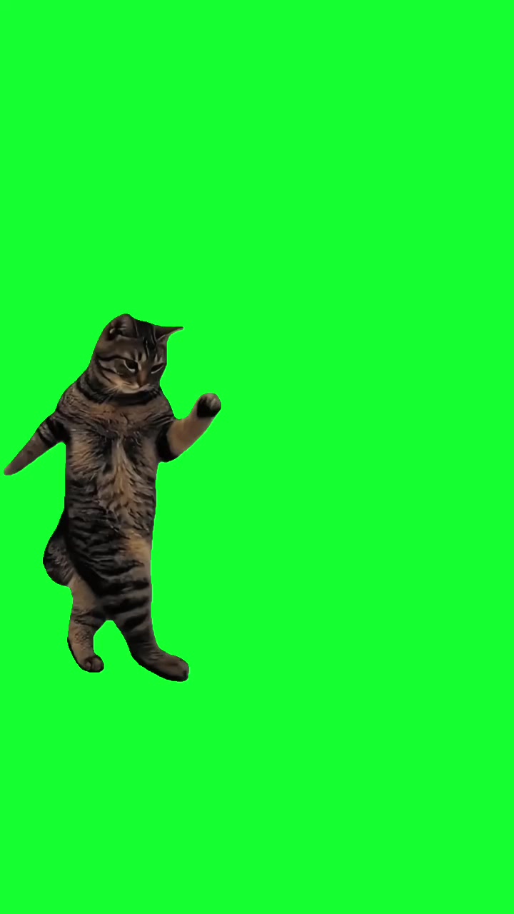 @TikTok Template