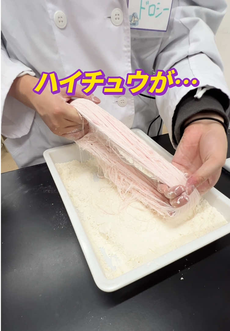@実験を仕事にする学校
