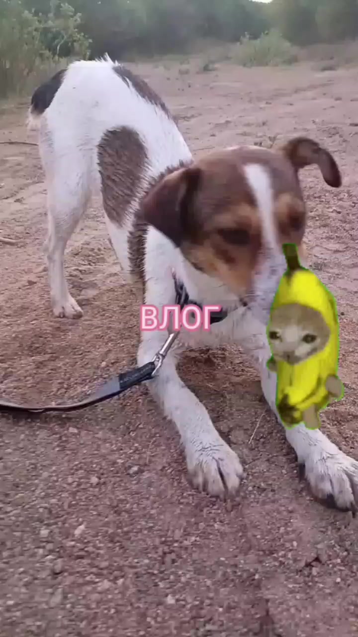 @𝘑𝘦𝘳𝘳𝘺🥏𝘢𝘪𝘳