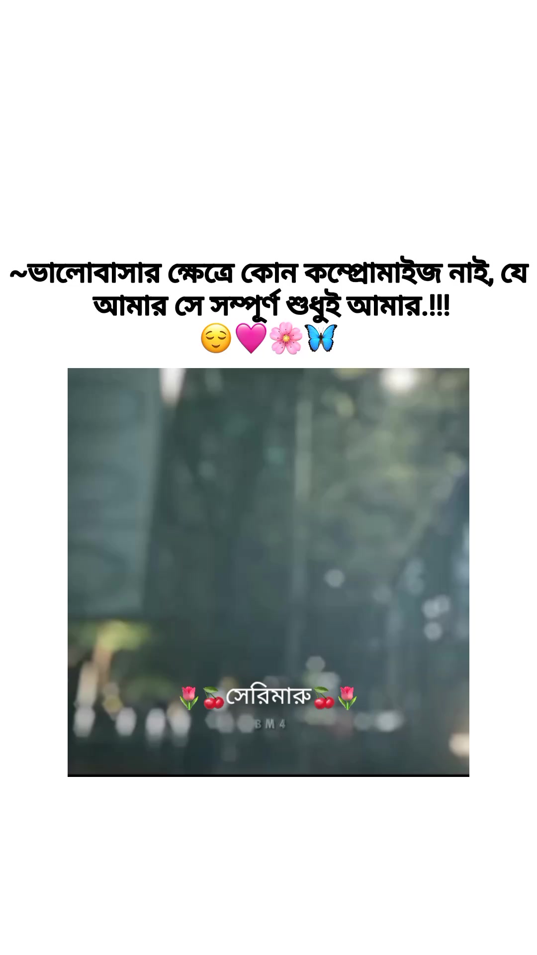 @🌷🍒সেরিমারু🍒🌷