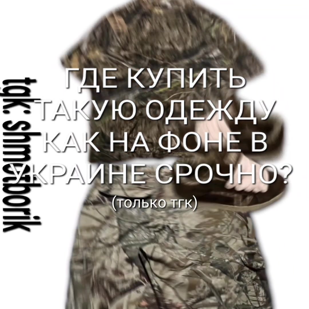 @shmotborik