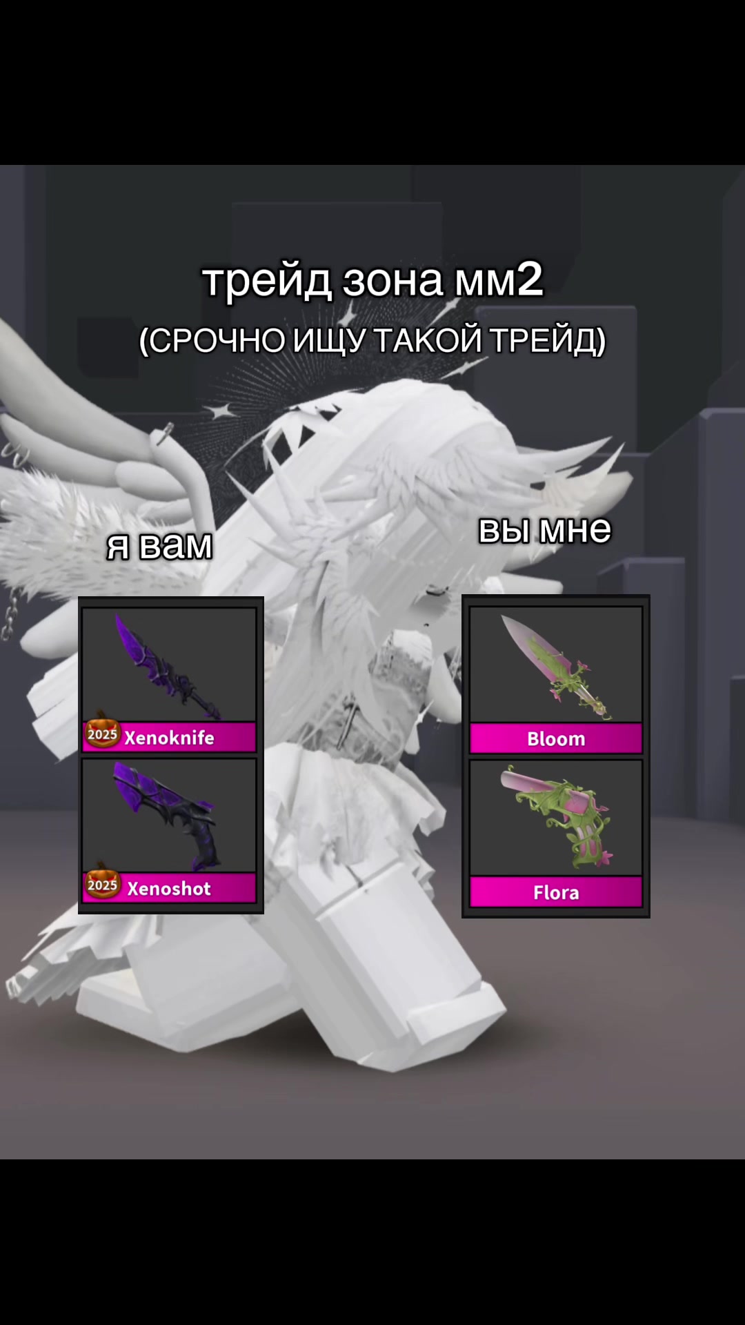 @⋆。°✩ 𝓐𝓷𝓰𝓮𝓵𝓸𝓬𝓱𝓮𝓴 ✩°。⋆