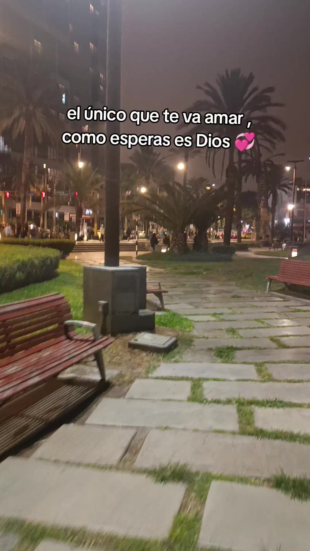 @Lesly Campos Díaz