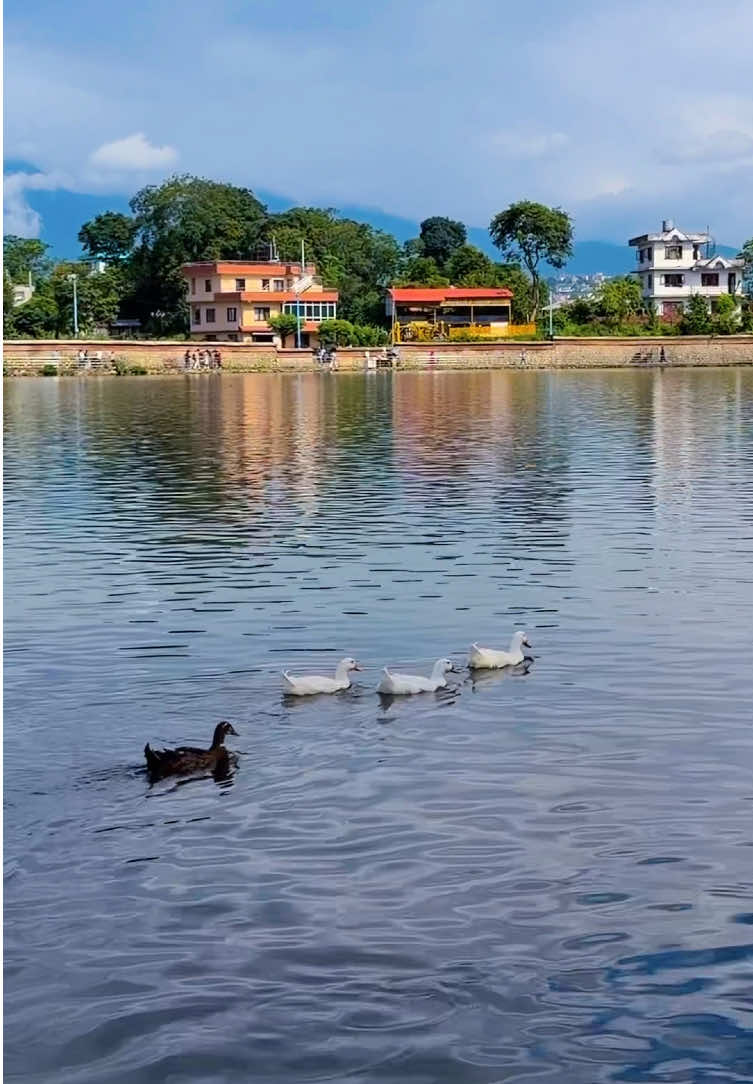 @ganeshexplore
