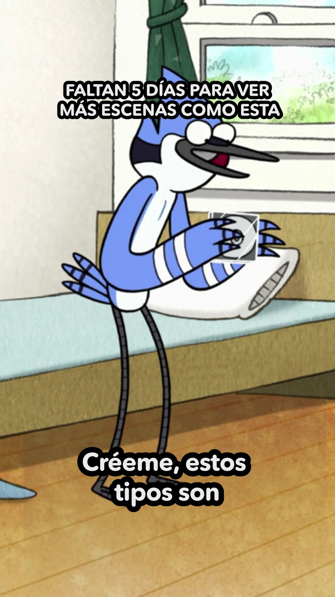 @Cartoon Network La