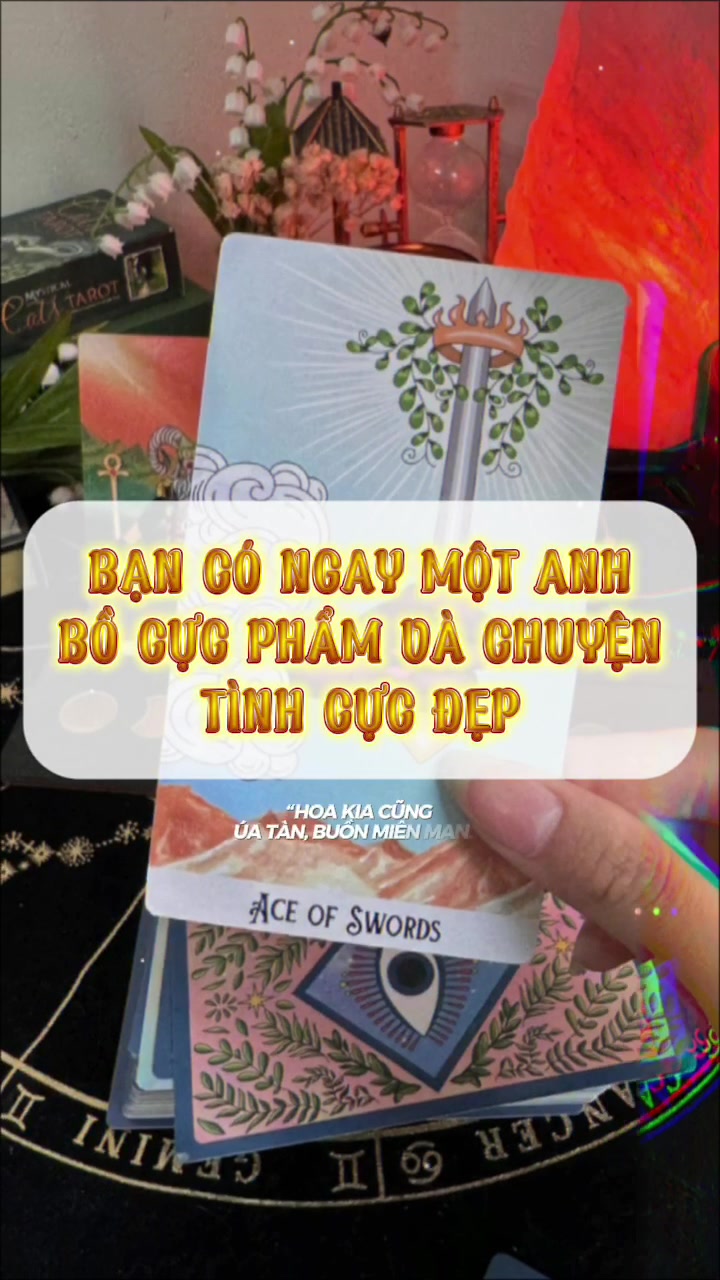 @Phytarot 𓍢ִ໋🍯ྀིྀིྀིྀི