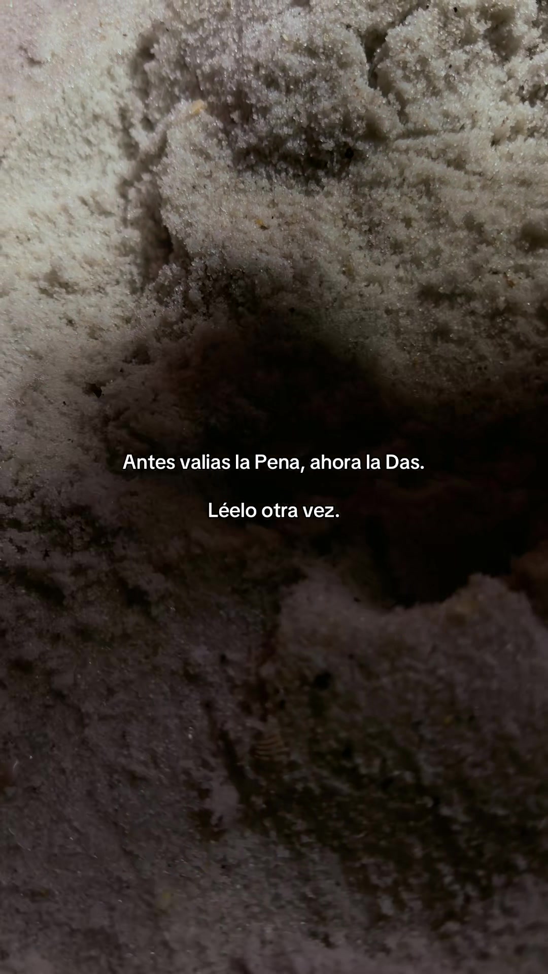 @hadadeletras