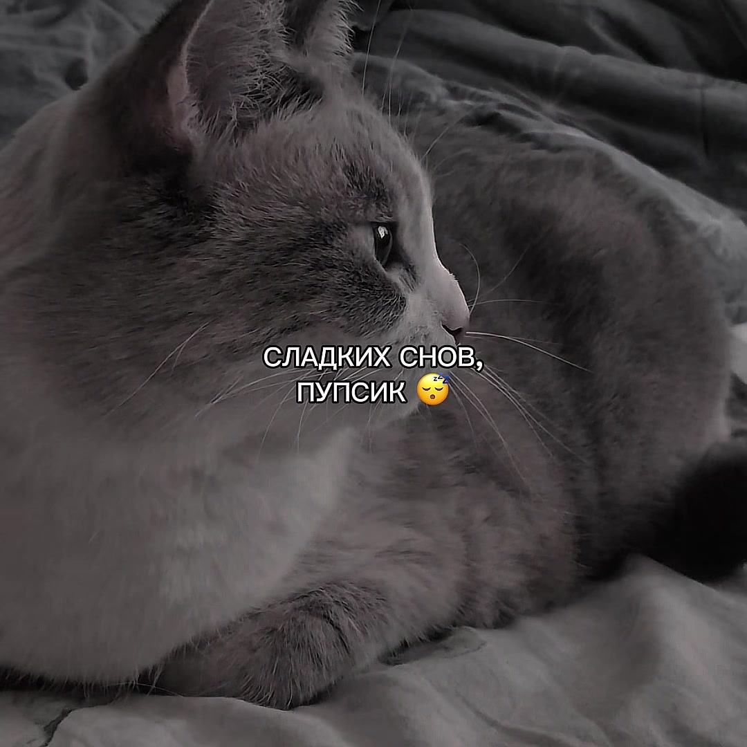 @ХХИКА