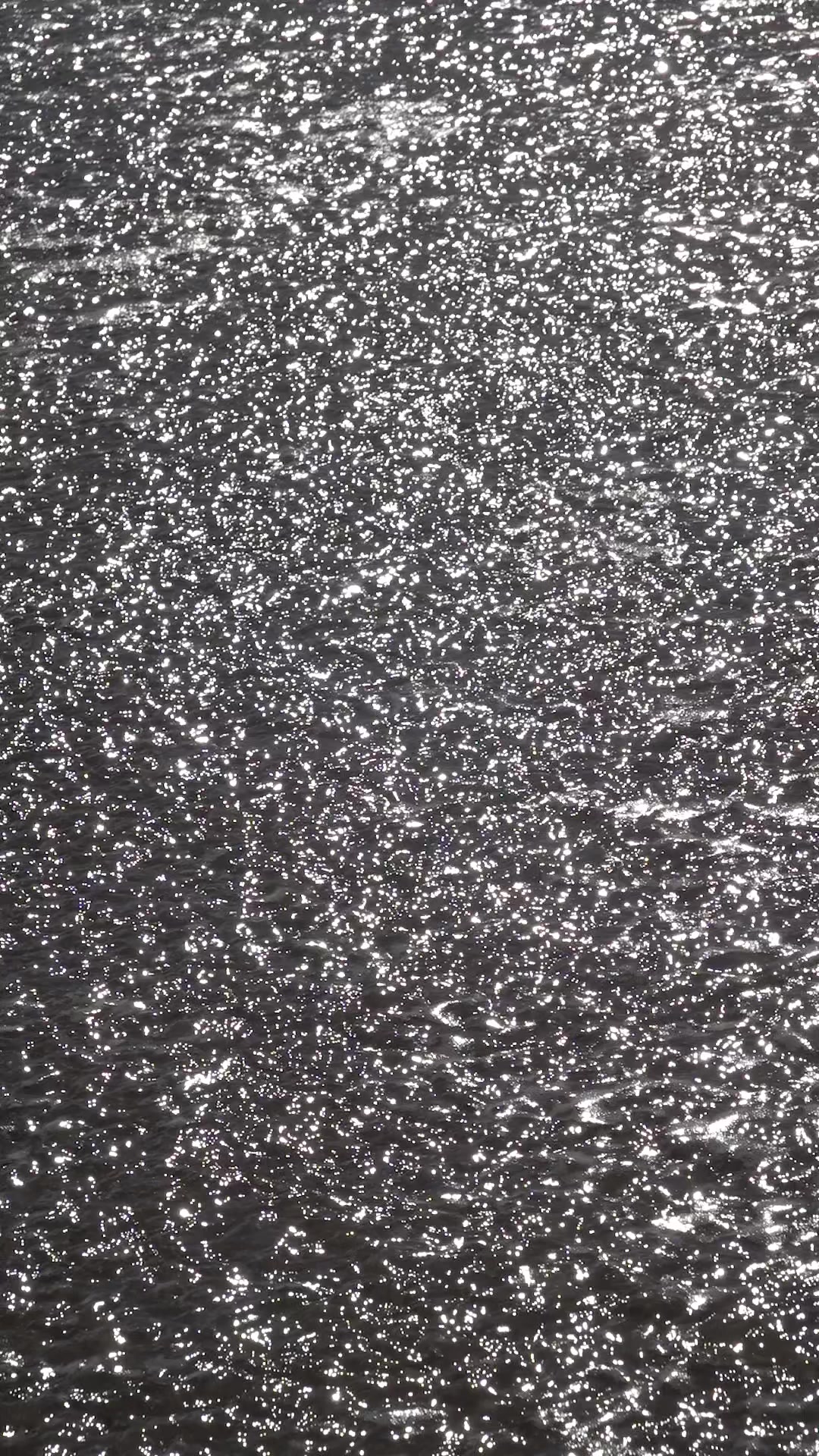 @𓆝 𓆟 𓆞