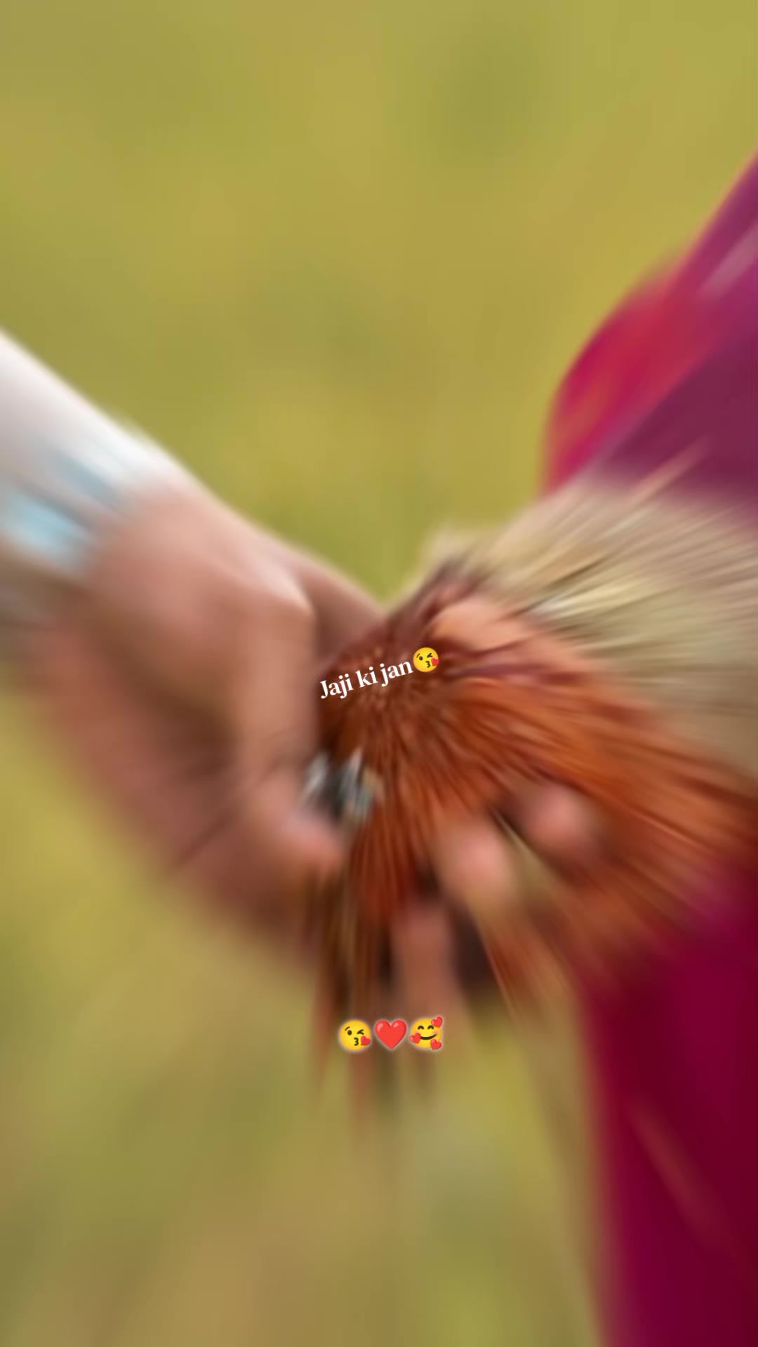 @𝐑𝑎𝒋𝑝𝑢𝒕𝒁𝑎𝑑𝑖❤