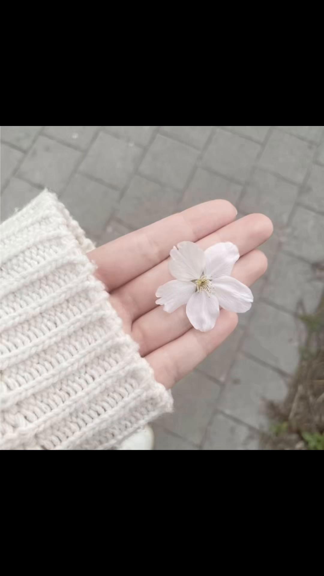 @⊹ ࣪ ˖Тгк:ксивакс⊹ ࣪ ˖ ˚˖