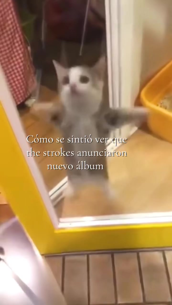 @ʝαɳ ⋆˚꩜。