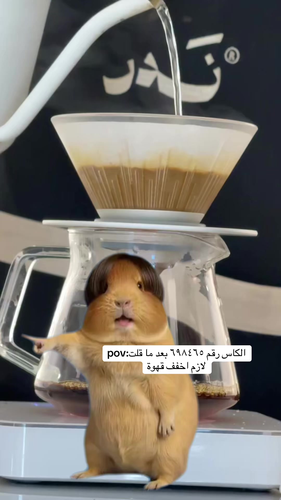 @SULTAN.A