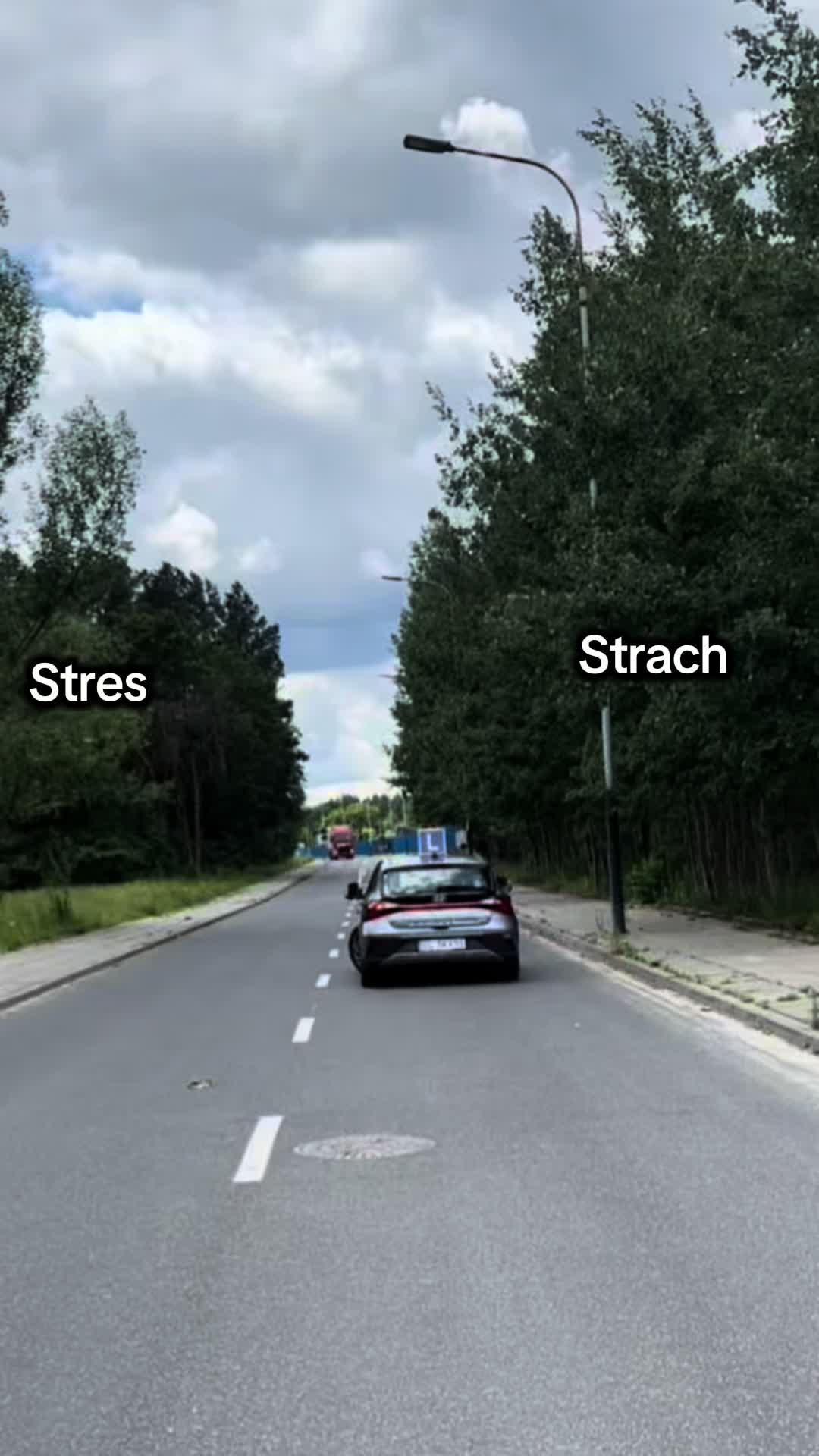 @EduDrive.pl
