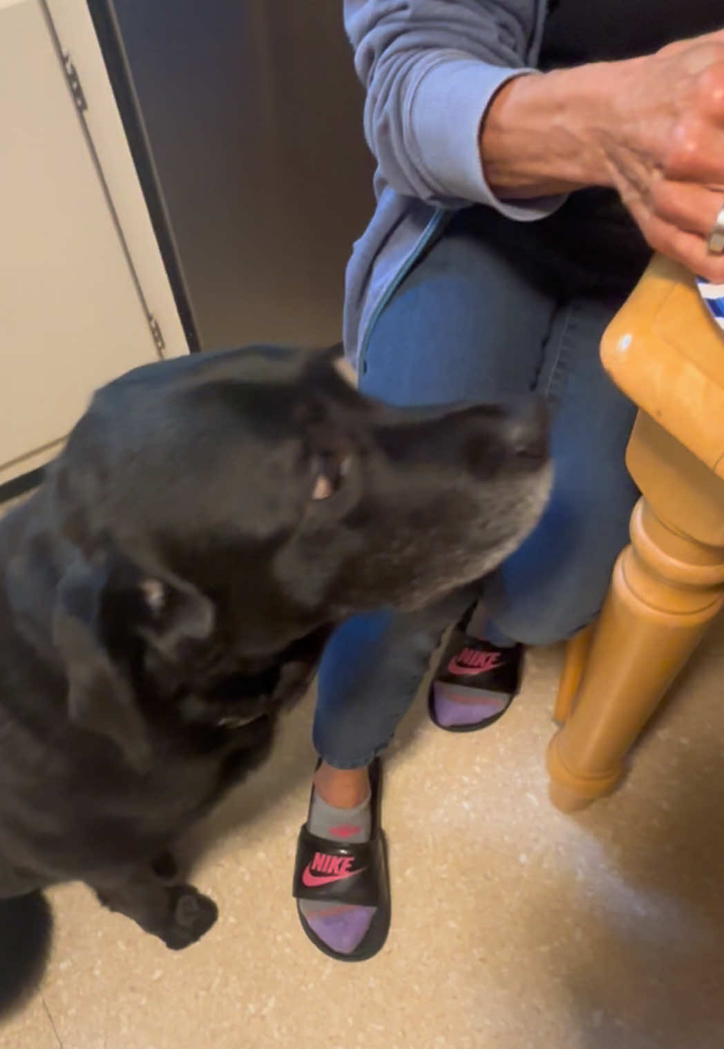 @rubenblacklab