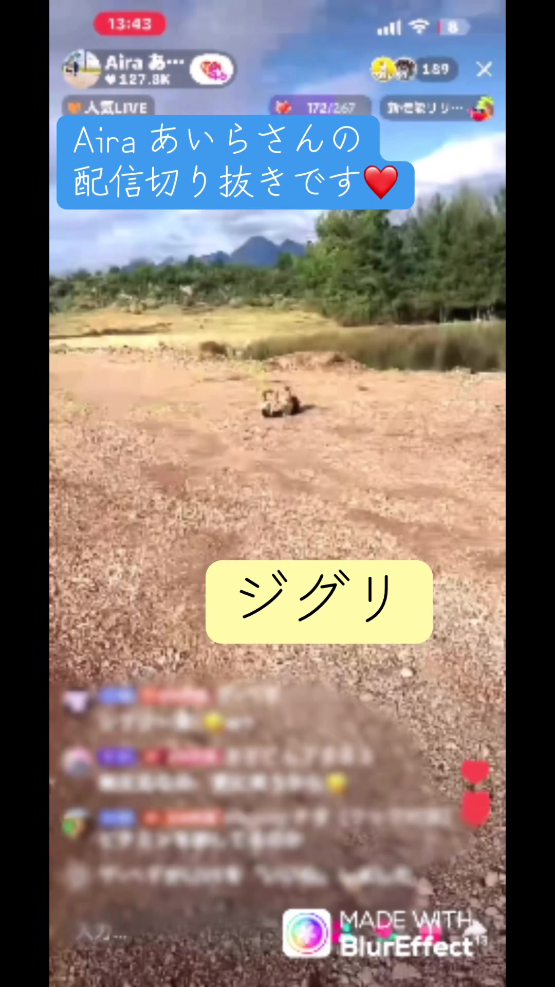 @ますごん7383