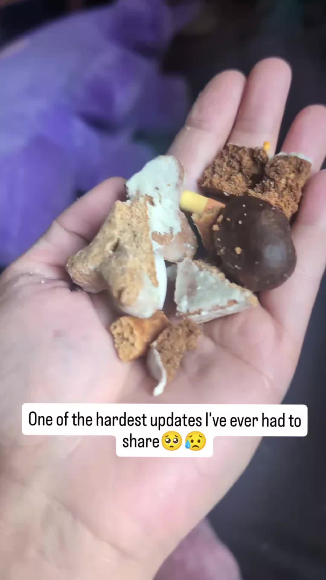 @8partytails