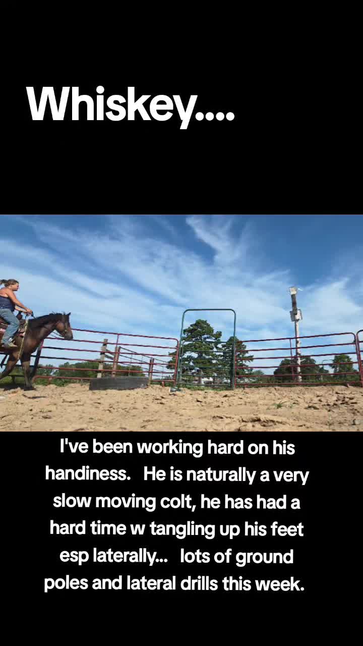 @CactusLMules