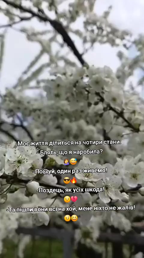@Yana 💙💛