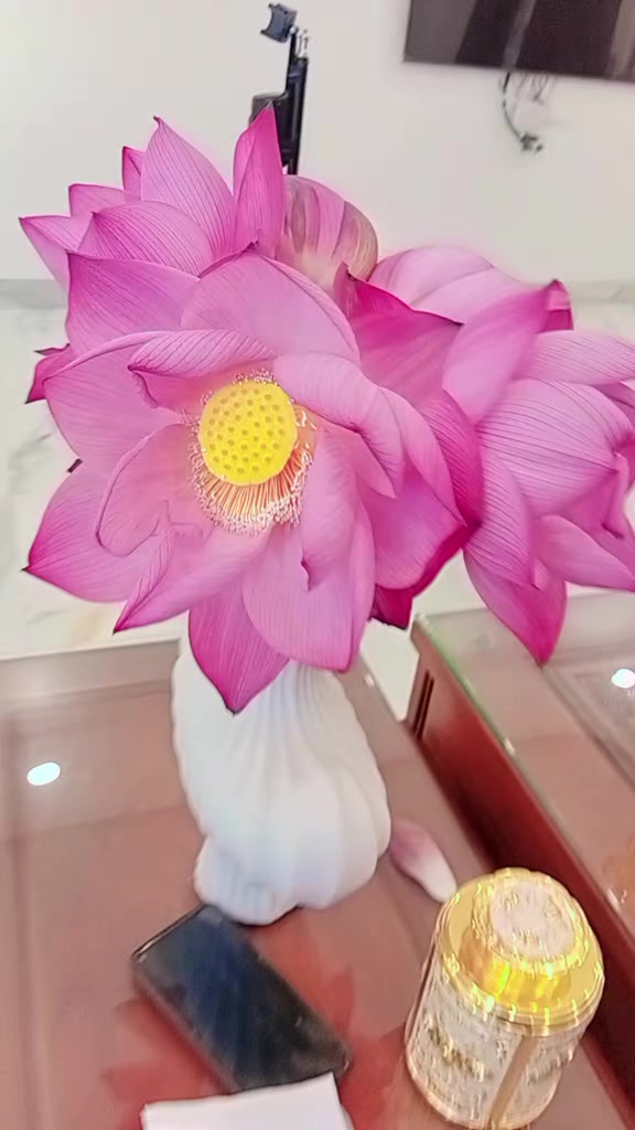 @Nusee -mộc Mỹ nh&acirc;n 84