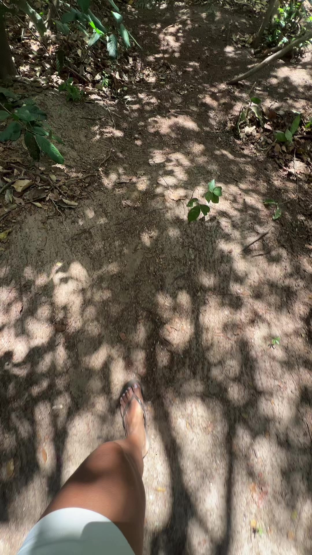 @Larissa Canuto