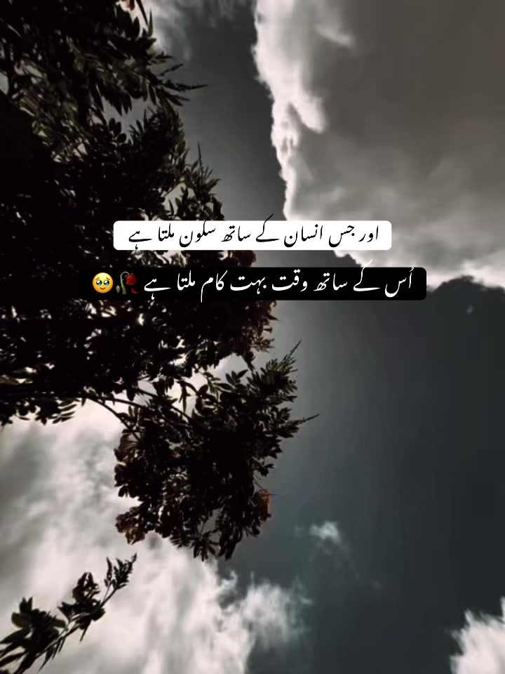 @𝘏 𝘈 𝘕 𝘡 𝘈 𝘓 𝘈 🐼 ✓