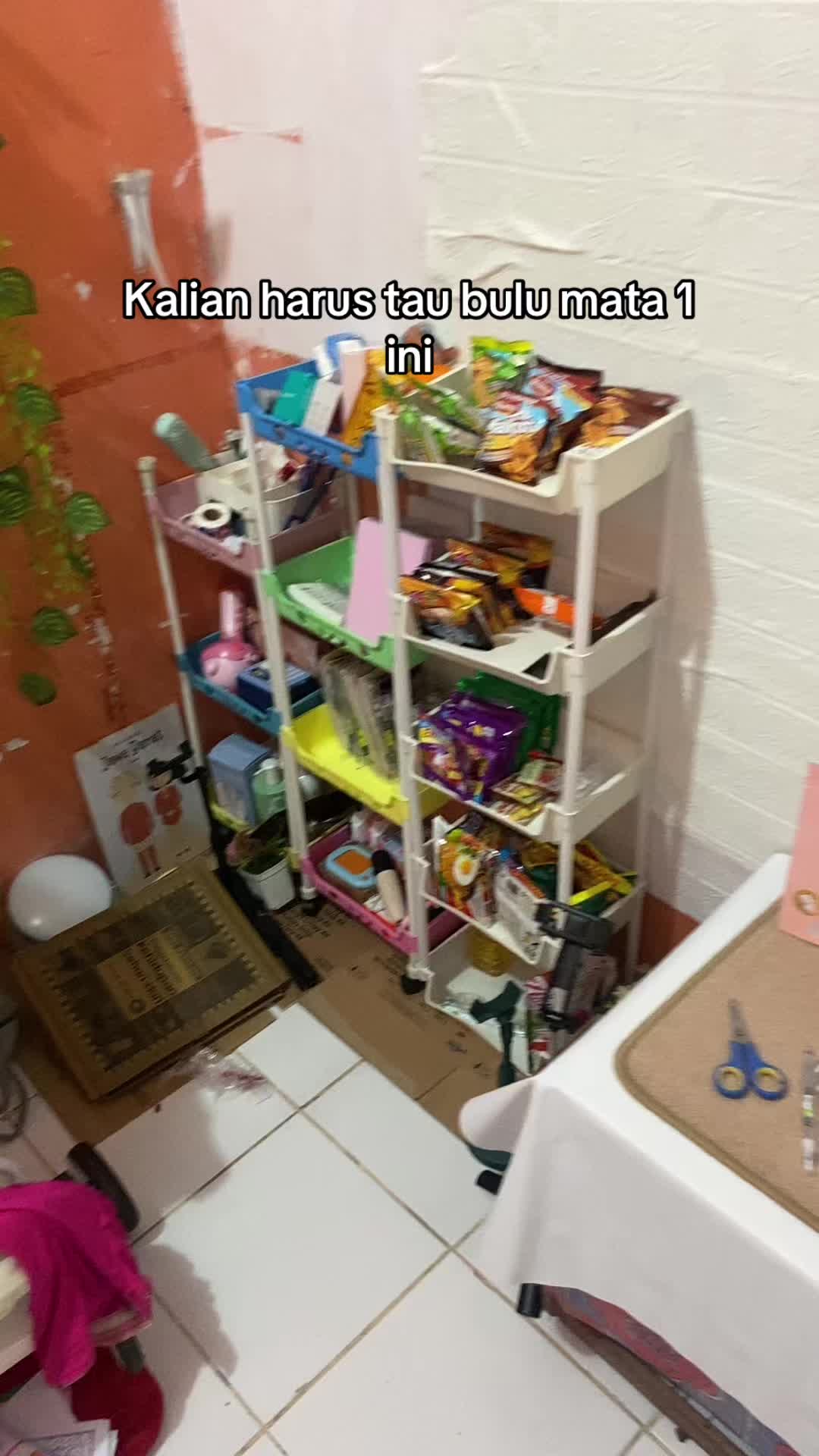 @โงโ๐๐โ๐๐๐๐๐ค๐๐คโ.ห๐ฆโ