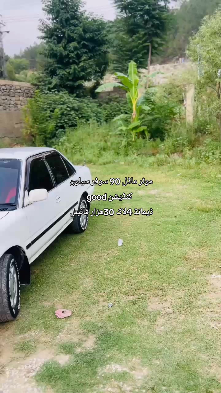 @ncpcarlover1