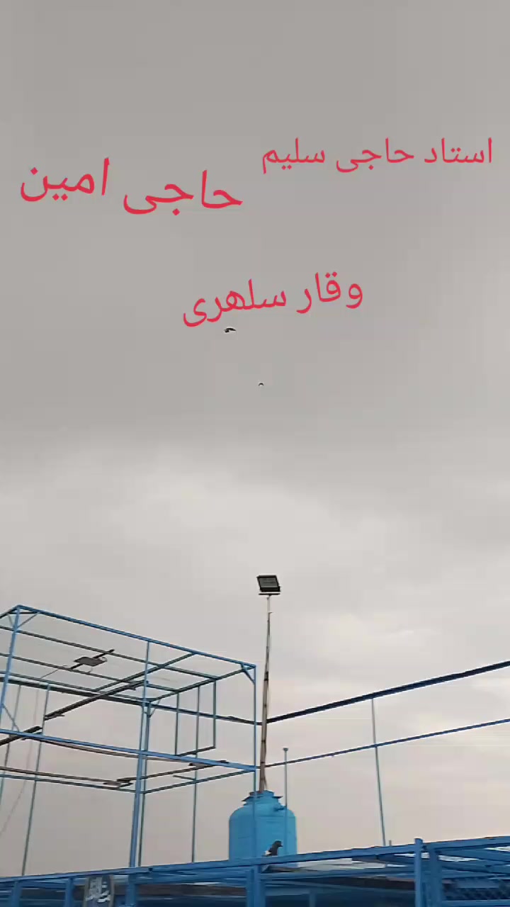 @waqarsulehri555