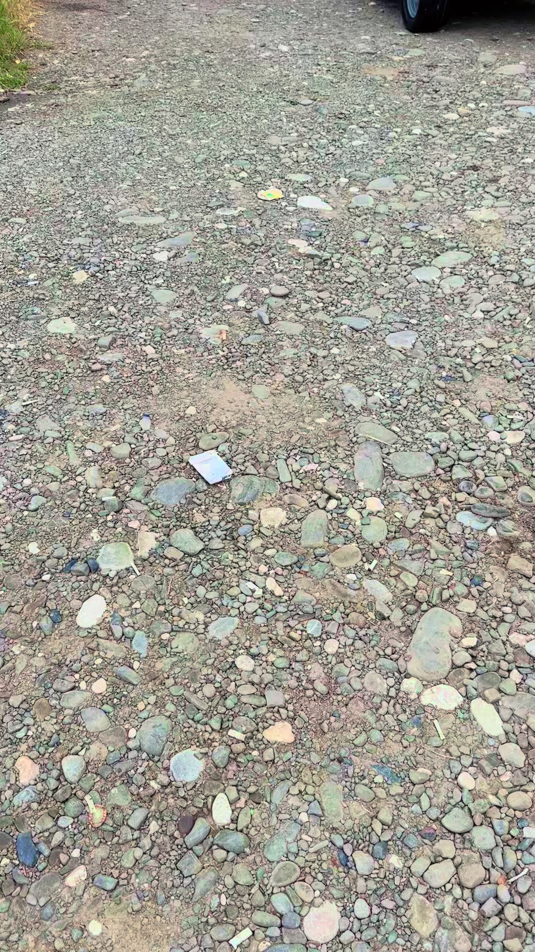@Бедрунов_330🐊🇮🇹