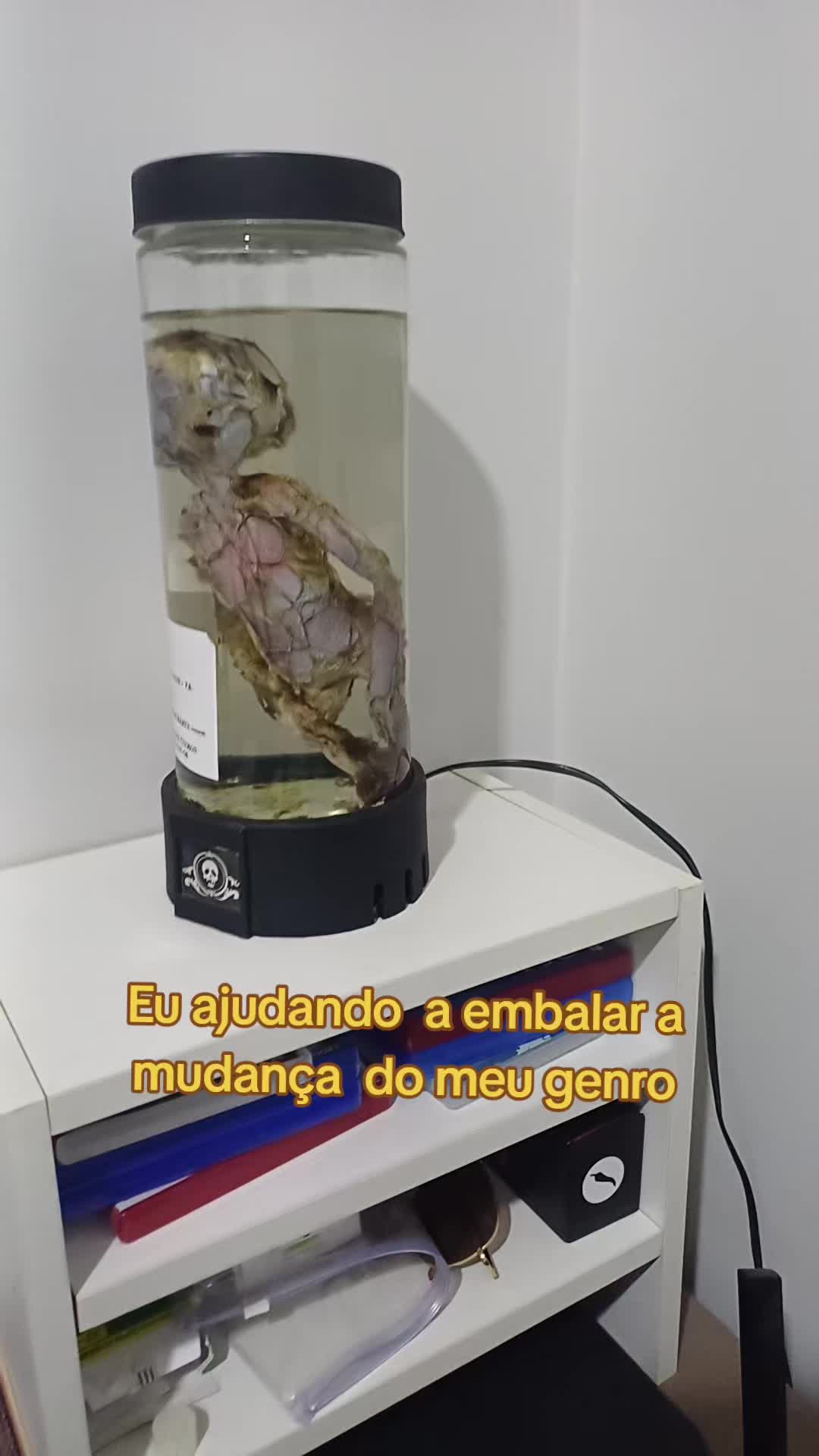 @Bebel