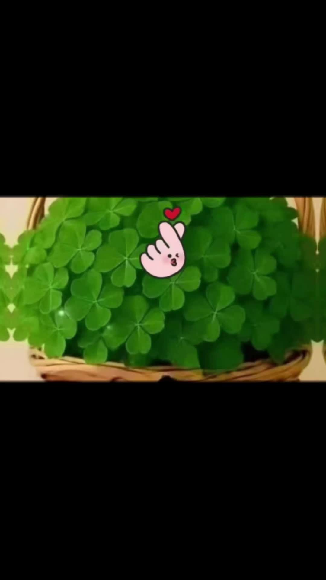 @user66947732307721