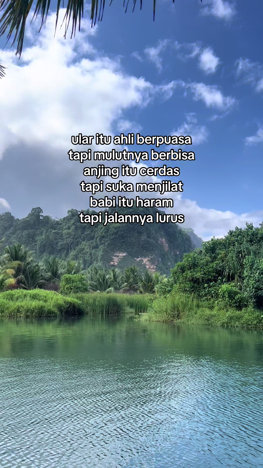@Momo