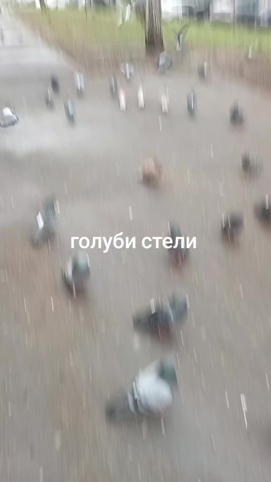 @антон азуевский
