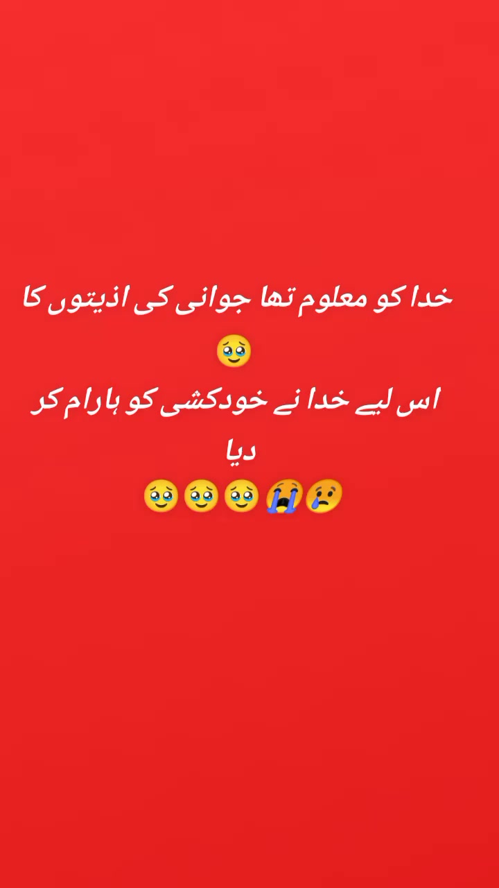 @💔💔zainab ❤️🩹💔❤️🩹❤️🩹🥹