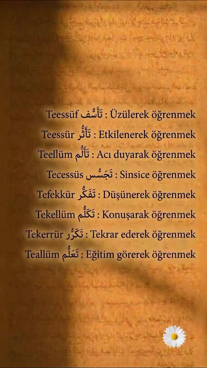 @Erdal 1975İst