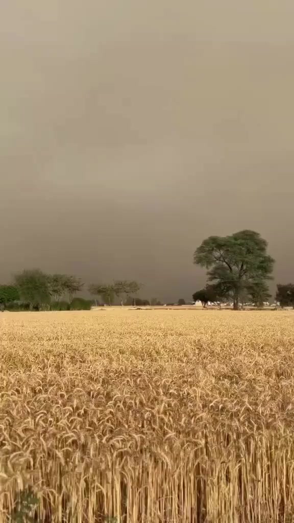 @ali 🇵🇰🇵🇰🇦🇪🇦🇪🇦🇪