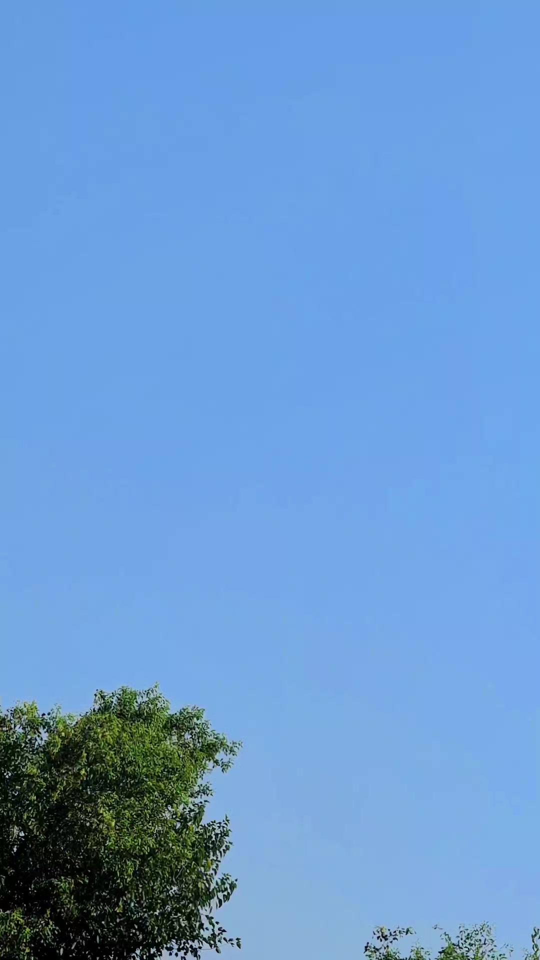 @☆،؛فلک بڈ1نی.&bull;