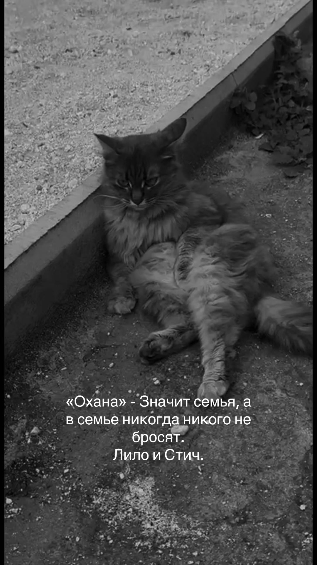 @Повод для твоей улыбки ❤