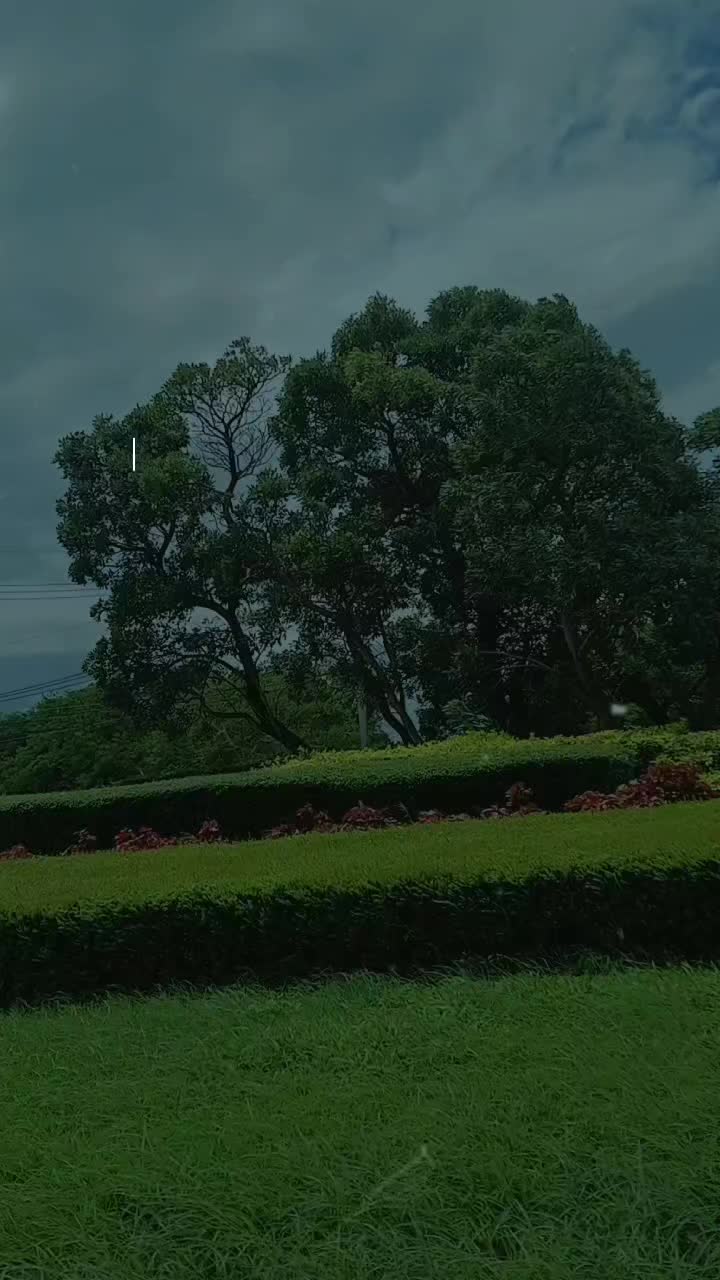@renantepet