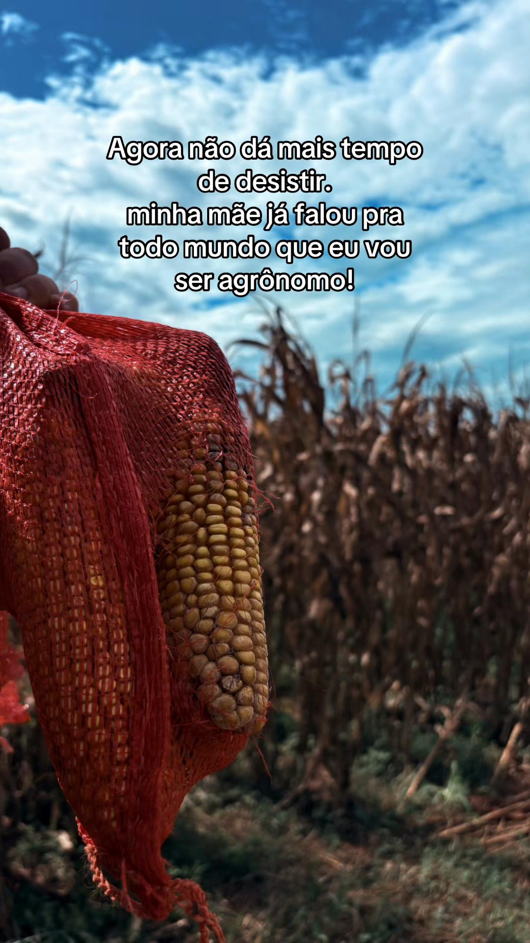 @joao_fraga🌵🇧🇷