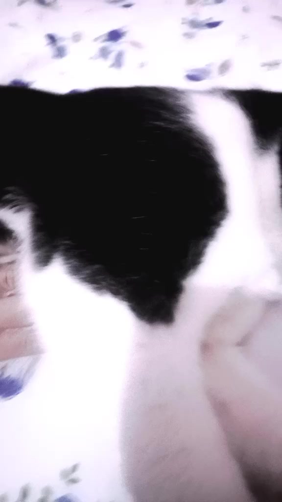 @Мукабай 🐈