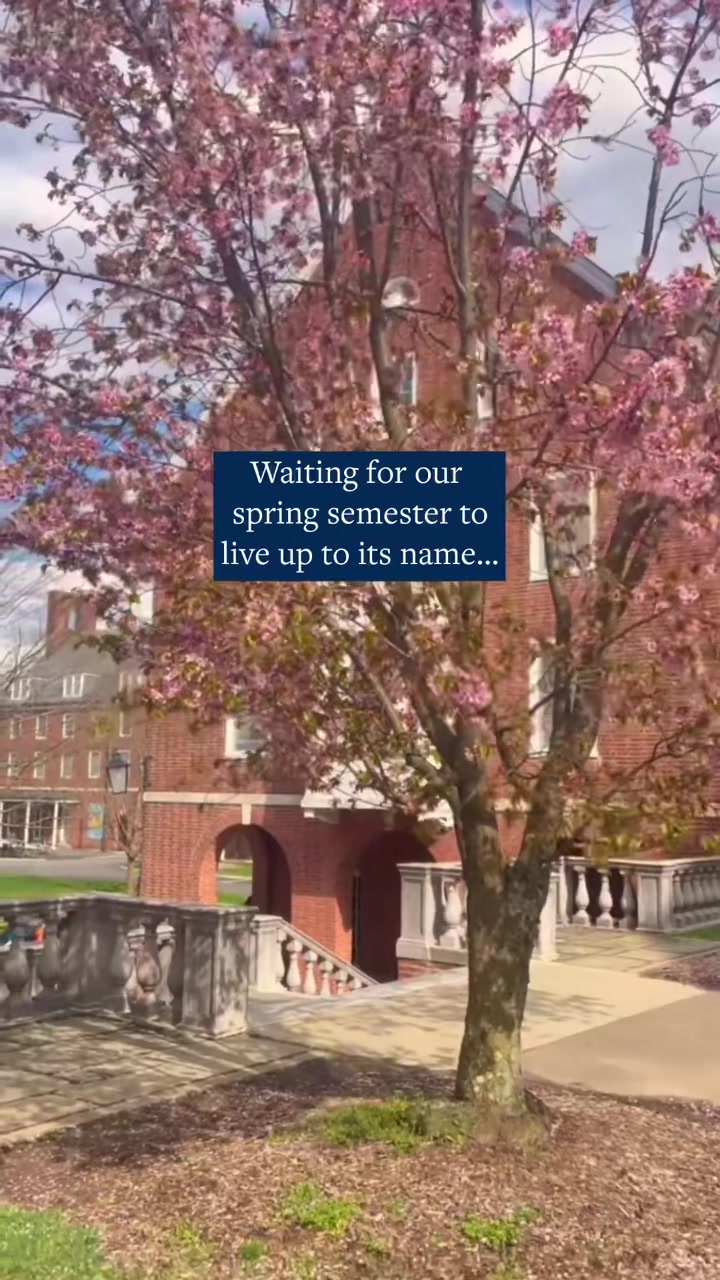 @Smith College