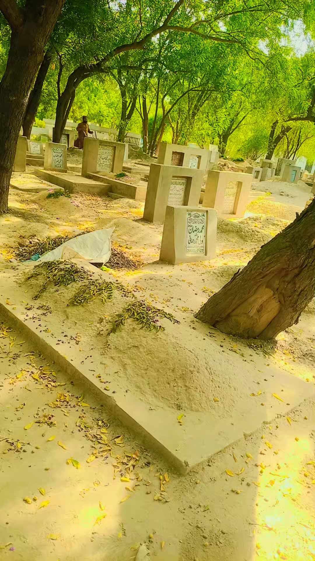 @🇵🇰 میاں صاحب 🇵🇰 🚭 𝑵𝒐 🚭
