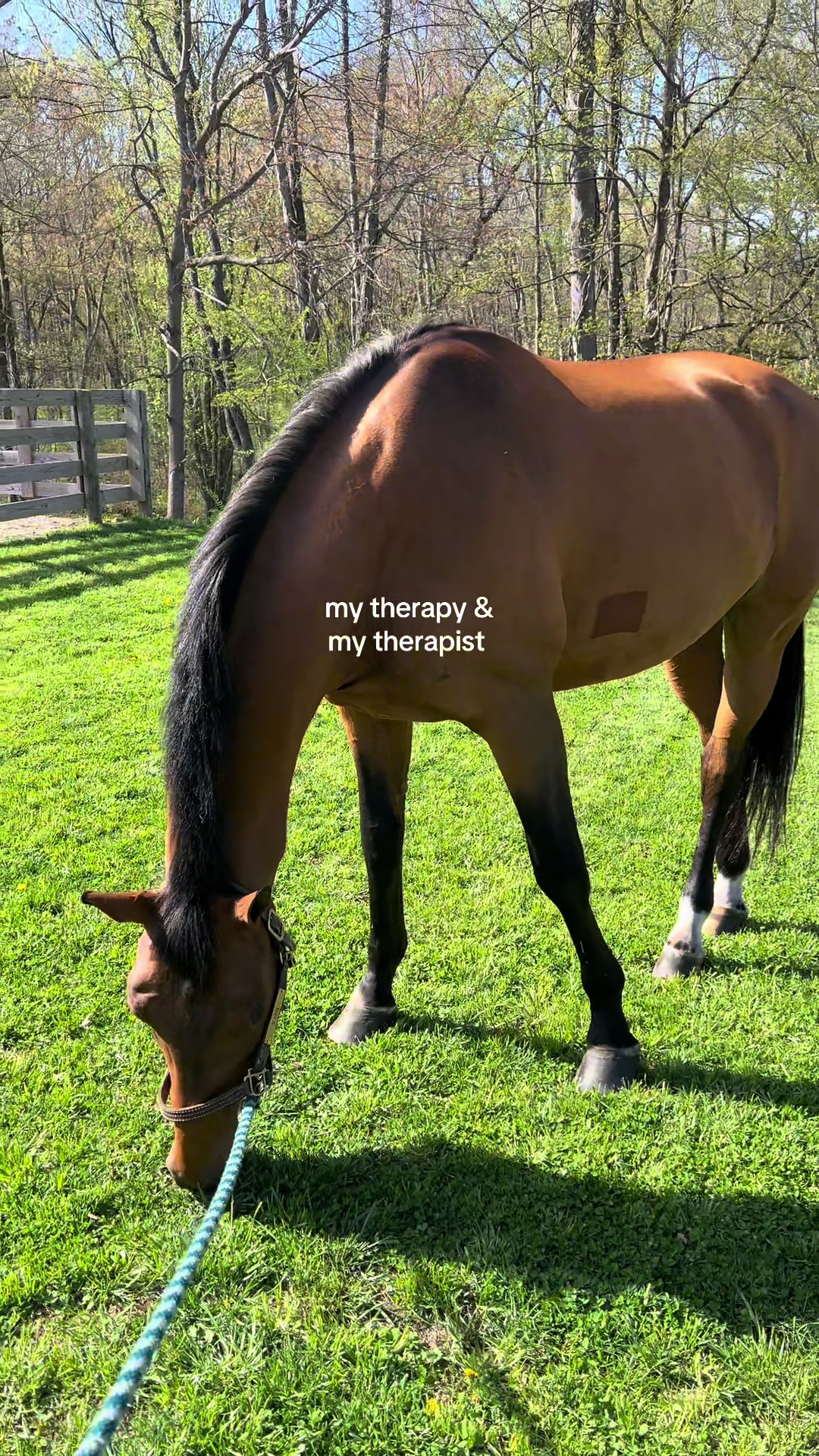 @Cait