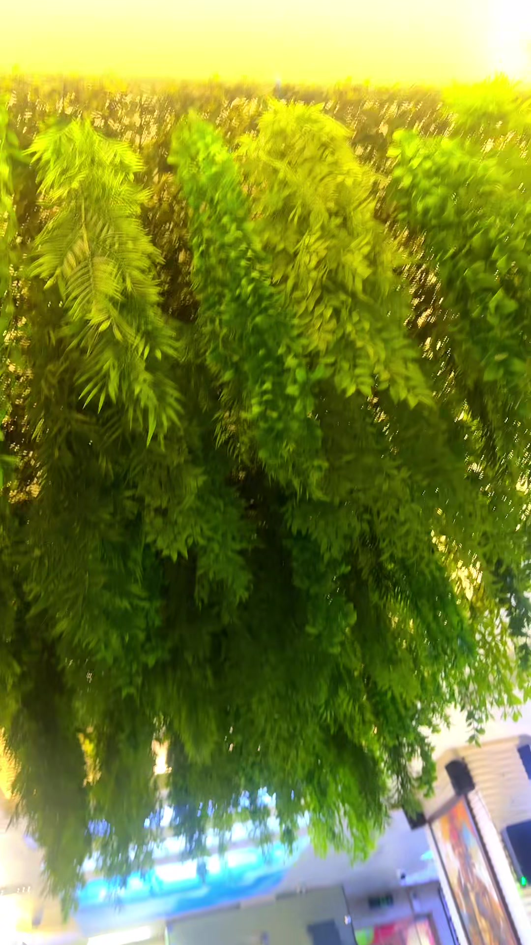 @KRISH-DUBAI,UAE