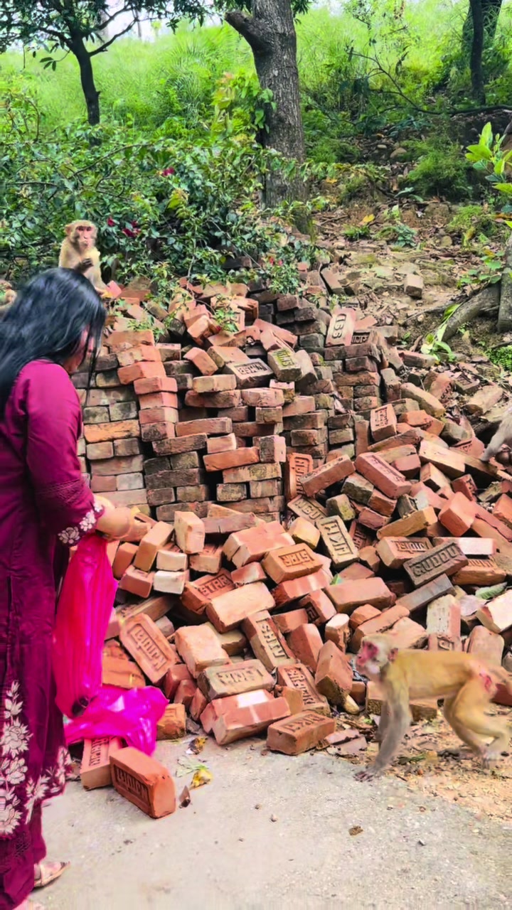 @Puja Soni