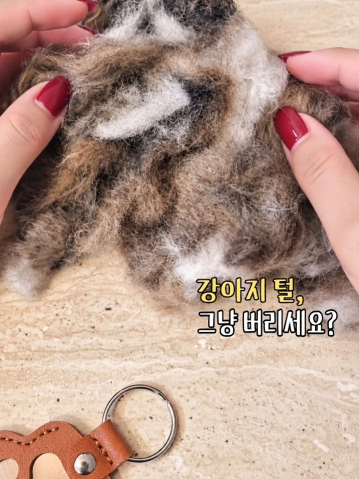 @바로아치 | 강아지와 사는 우리집 🐶